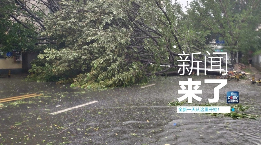 “山竹”怒過，高空塔吊你還好嗎？